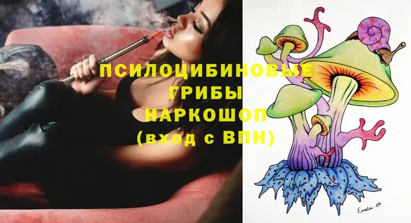 Галлюциногенные грибы Psilocybe  Дигора 